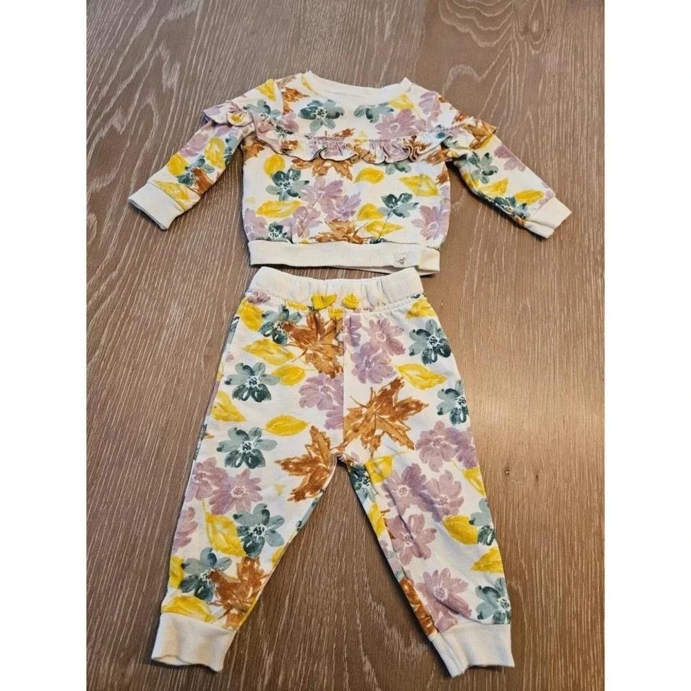 Burt's Bees baby girl outfit‎ 3-6 mos